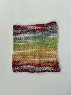 Cotton Dish Rag - Autumn